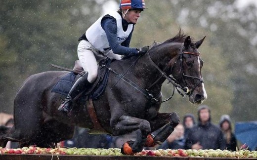 Elaine Pen met Vira op weg naar de Nederlandse titel eventing.