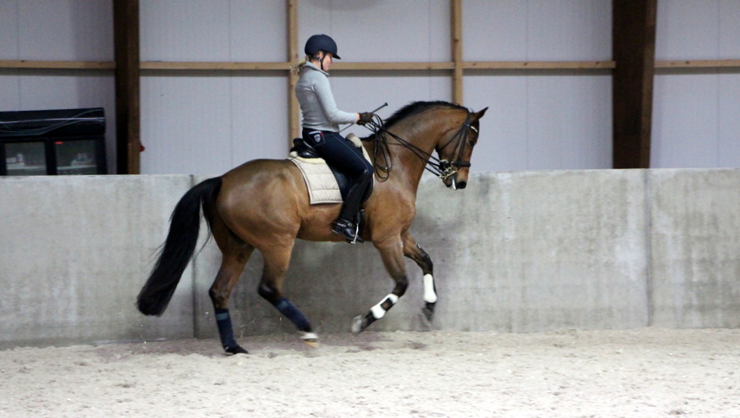 Eline Klont en Arragon tijdens de training.