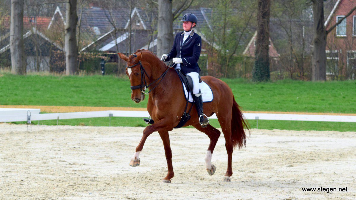 Elviera Boverhof won met Virginia het Z2 bij de Ossencompetitie Eext.