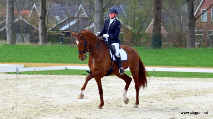Elviera Boverhof won met Virginia het Z2 bij de Ossencompetitie Eext.