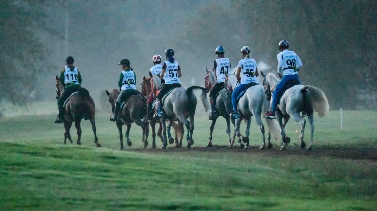 Endurance Tryon