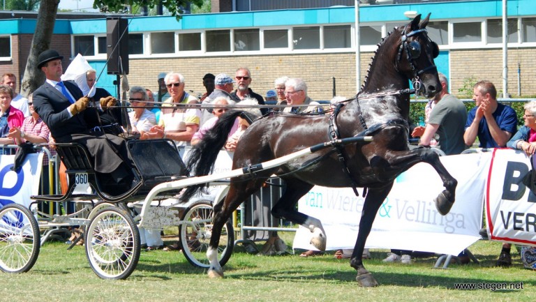 Harry van Middelaar won met Brandy de Bonifatiusbokaal tijdens het CH Dokkum.