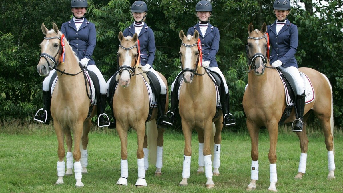 Het viertal Go4Gold met Ava Krause, Esther Postmus, Amee ten hoor en Nynke Wulff werd Fries kampioen.