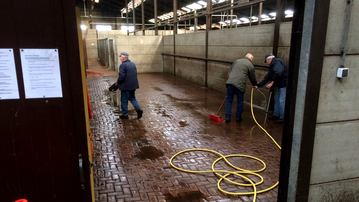 brand manege Exloo schoonmaak