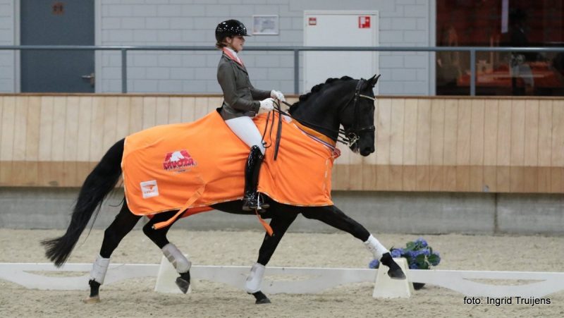 Febe van Zwambagt en Emporio wonnen de KNHS-titel in de ZZ-licht. foto: Ingrid Truijens