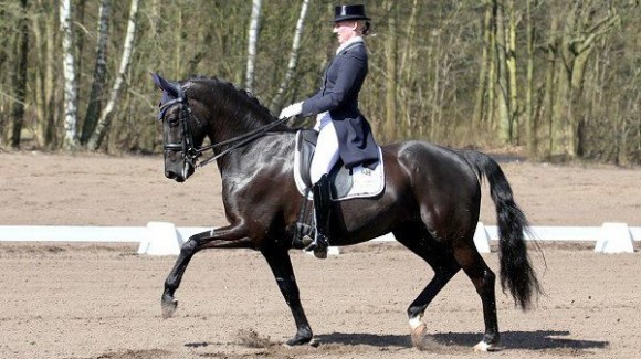 Femke Beljon reed Zoraida naar de zege in de Prix St Georges. ©Roland Hitze