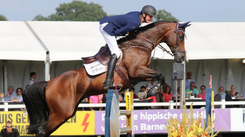 Frank Schuttert met Chanti's Champion op weg naar de derde plaats op het CSI Twente in Geesteren.