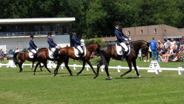 Het ponyviertal van PC Nienoord pakte twee titels in de klasse M.