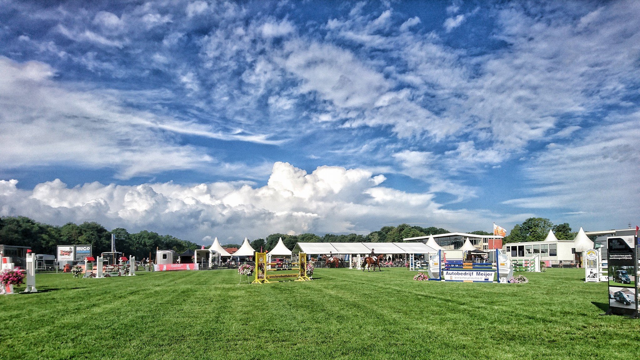 Partij voor de Dieren krijgt haar zin: geen paarden meer bij Gronings ontzet