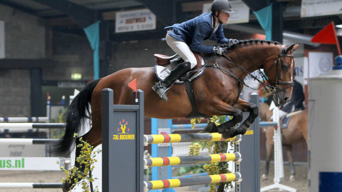 Hans de Vries won met Wyoming de Grote Prijs van Indoor Tolbert.