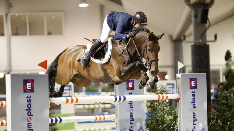 Harrie Wiering wint met World Wide Jumping Lichtenvoorde. foto: Wendy Scholten