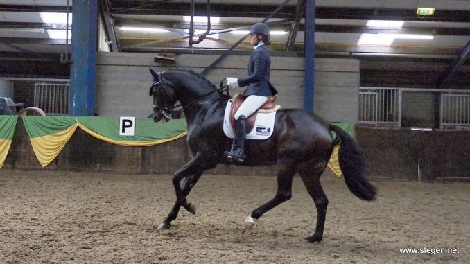 Hennie Roffel rijdt Florijn (v. Sandreo) naar de overwinning in de ZZ-licht. foto: Reinold Lowes