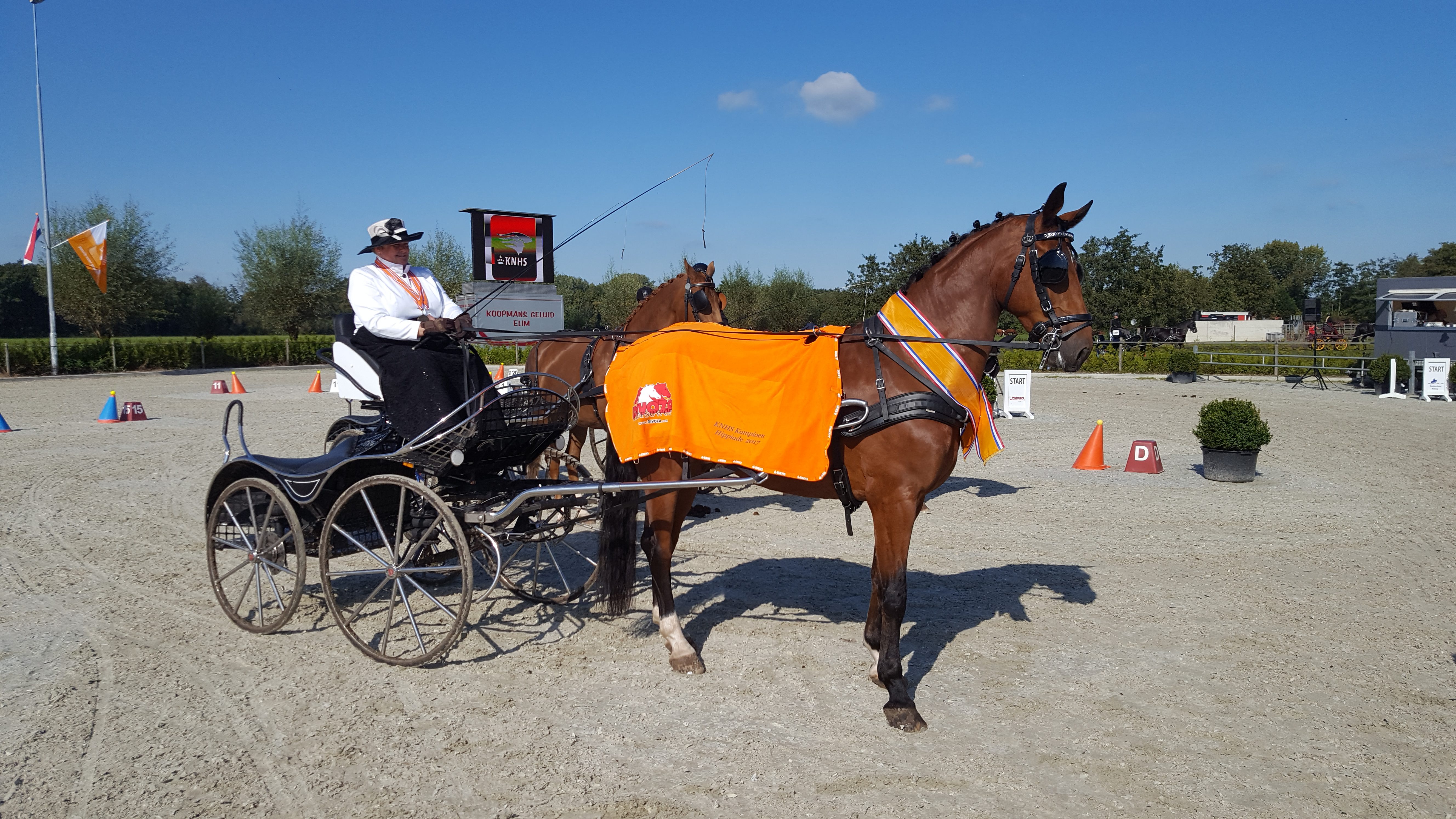Marjet Westerhoff uit Bellingwolde is Nederlands kampioen geworden in de klasse B dressuur met haar paard Hercules.