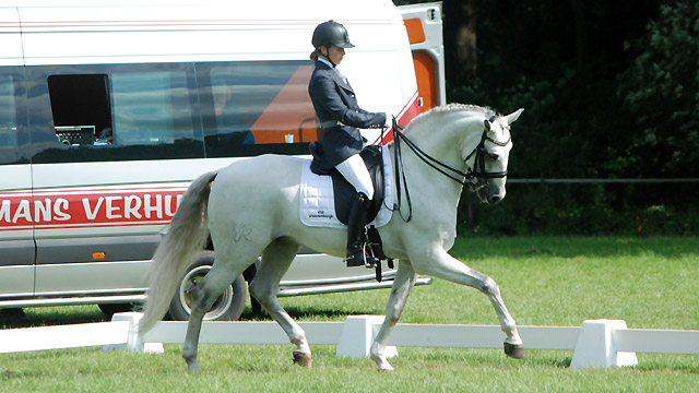 Hester Bischot werd reservekampioen in de ZZ-licht met Trovador Raposa. ©Steven Stegen