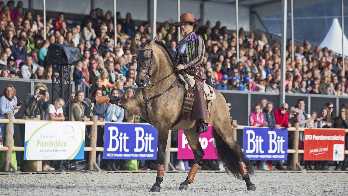 Beeld van Horse-Event 2017.