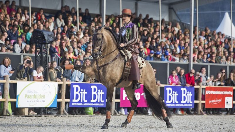 Beeld van Horse-Event 2017.