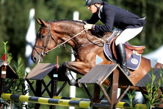 Marc Houtzager met HBC Tamino. ©HBC Stal/Jacob Melissen