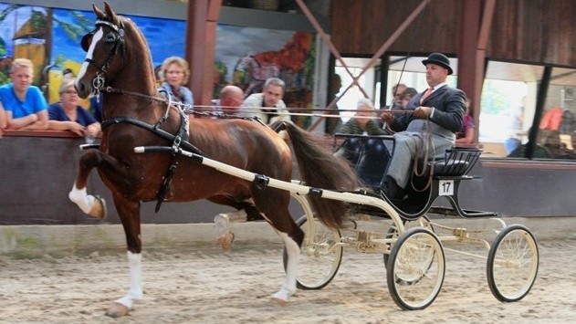 NIC Assen. Lambertus Huckriede met Eebert