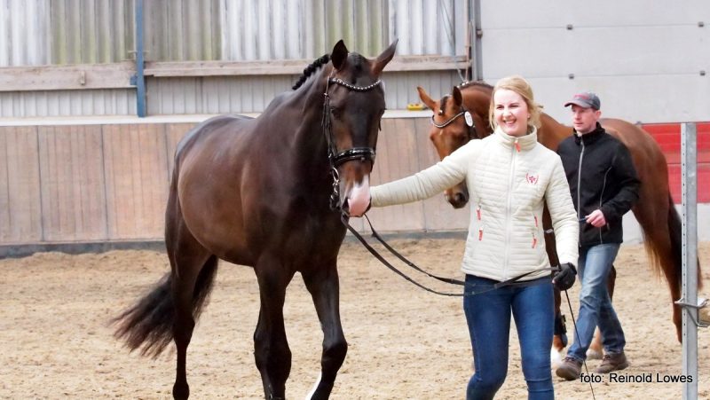 finale ONNK. Kampioen Jacky Ickx (Blue hors Zack x Prizarma v. Lennard) met Marloes Oosterhof.