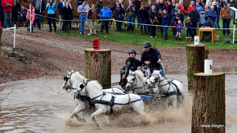 Jannes Kinds werd achtste op het WK mennen voor pony's.