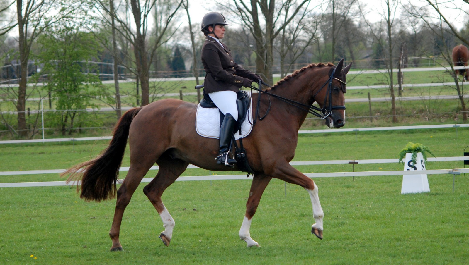 Jarmilla Peterson werd met Woody kampioen in de ZZ-licht