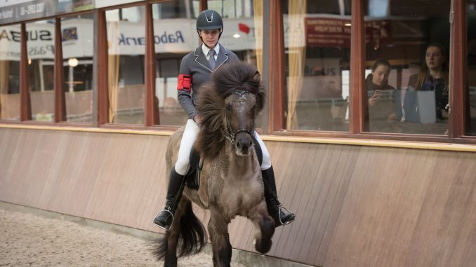 Jeanette Santifort werd kampioen met Herdis van ’t Slingerbos. foto: Lutra Photos