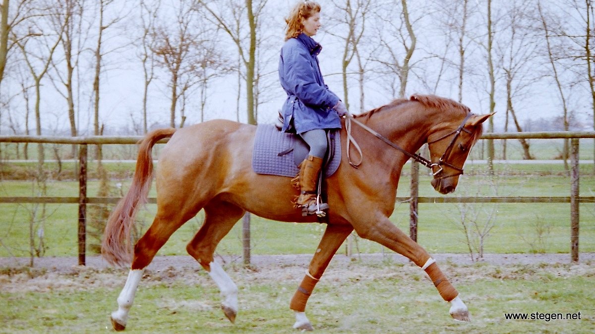 Jovancka Holtrop (toen De Wit) met Jensen in april 1996.