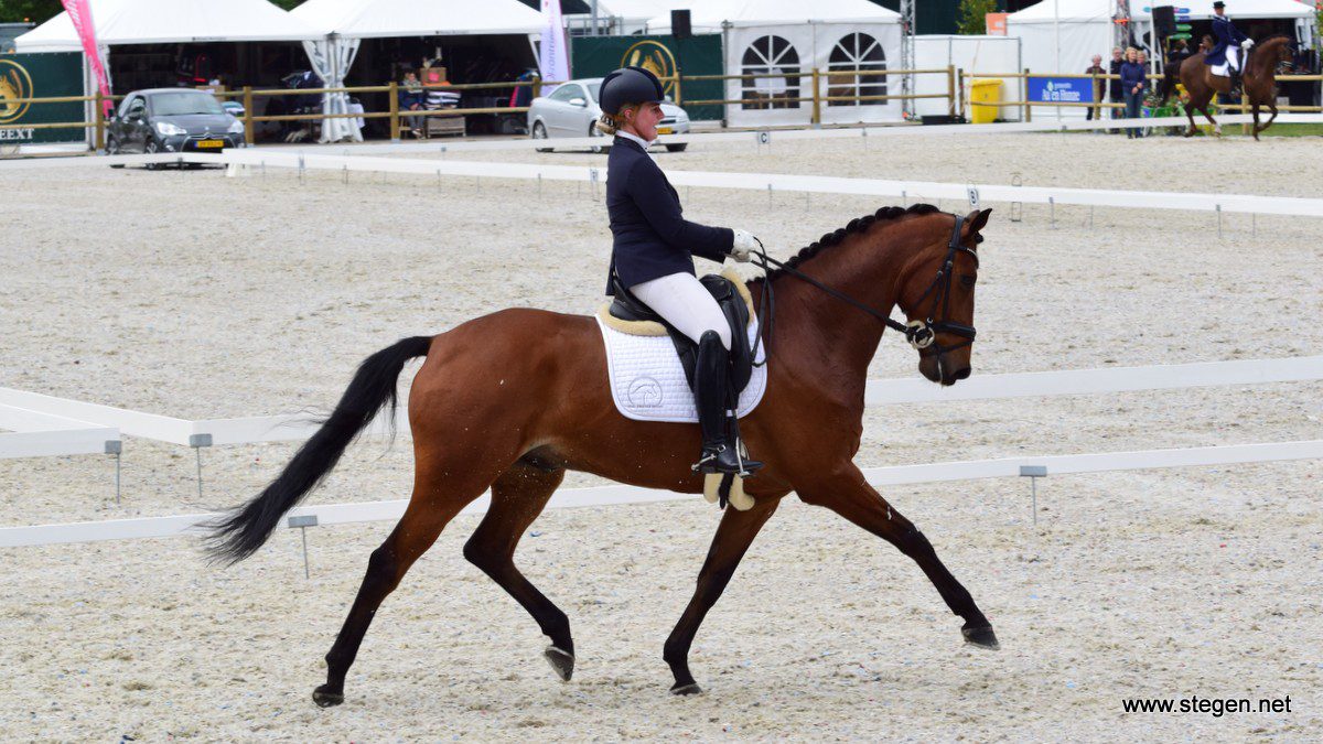 Joyce Vegter won met Figo (v. Armani) een ZZ-zwaar proef in Eext.