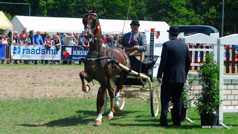 Lambertus Huckriede werd met Business kampioen in de ereklasse (archief).