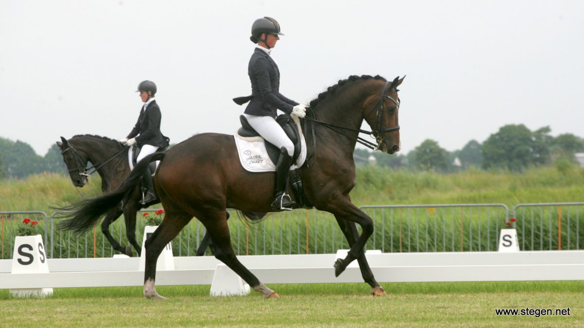 CH Gorredijk. Laura Zwart pakte met Eros de overwinning in het ZZ-zwaar.