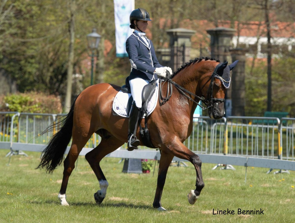 Laura Zwart won met Lumen Dylan beide Z2-proeven op het CH Roden.