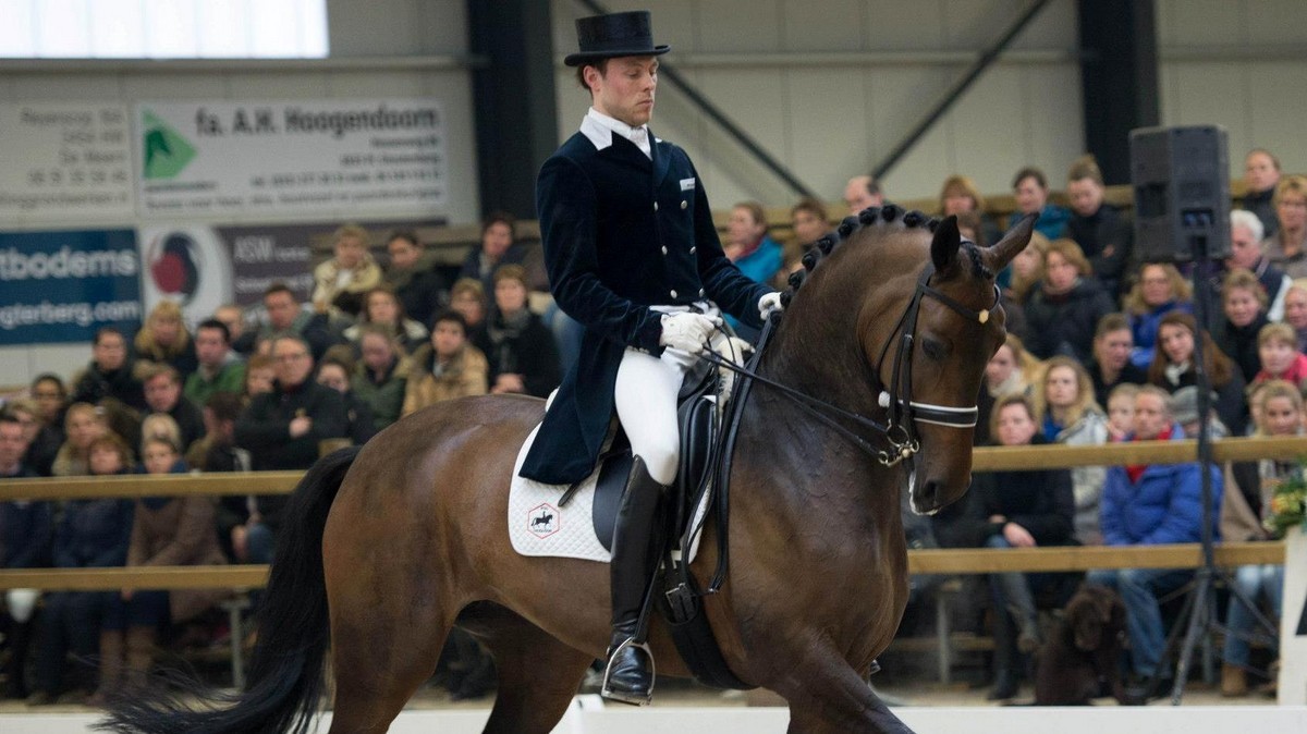 Laurens van Lieren werd met Ulysses la Haya vierde in de Grand Prix tijdens ICNN Drachten.