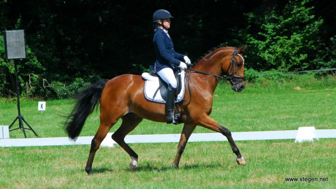 Lisa Hamminga werd met Dekro's Anigo reservekampioen Z2 bij de pony's. Foto: Steven Stegen