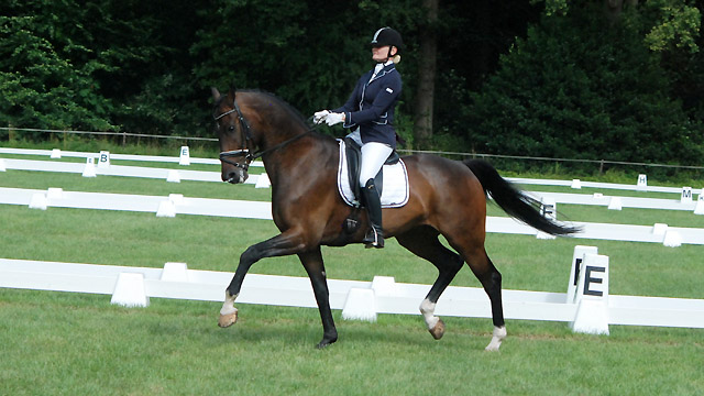 Loes Corsel tijdens haar kür met Andreo. De combinatie werd Drents kampioen in de ZZ-licht. ©Steven Stegen