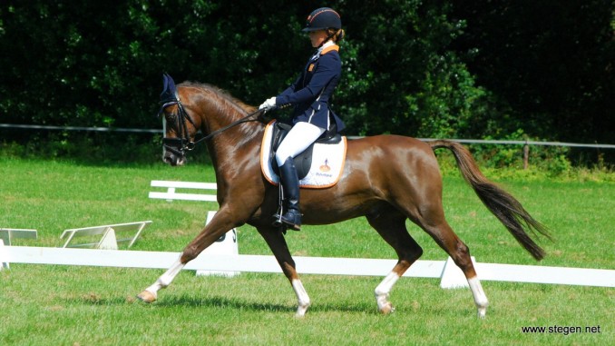 Maaike ten Hoor werd Drents kampioen in de Z2 cat. D met haar pony Lemniscaat Rapsody. Foto: Steven Stegen