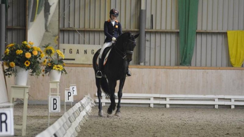 Maaike ten Hoor met haar nieuwe paard Winder-Don. foto: Facebook