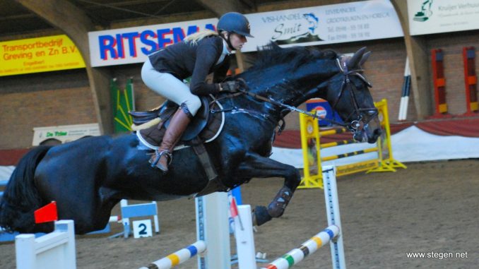 Hondsrugse Ruiterdagen. Margot Norder won met Desteny de Z/ZZ-rubriek bij de Hondsrugse Ruiterdagen in Bronneger (archieffoto).