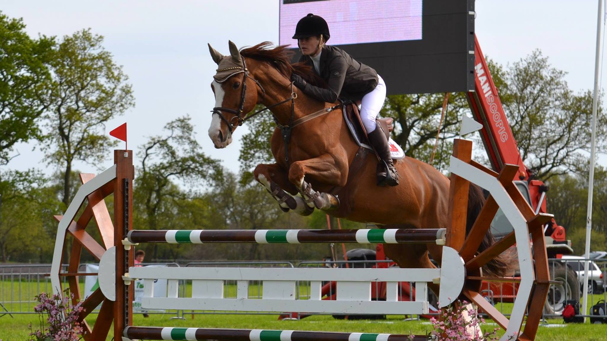 Marianne Boerema met ET op weg naar de overwinning op het CH Marum.