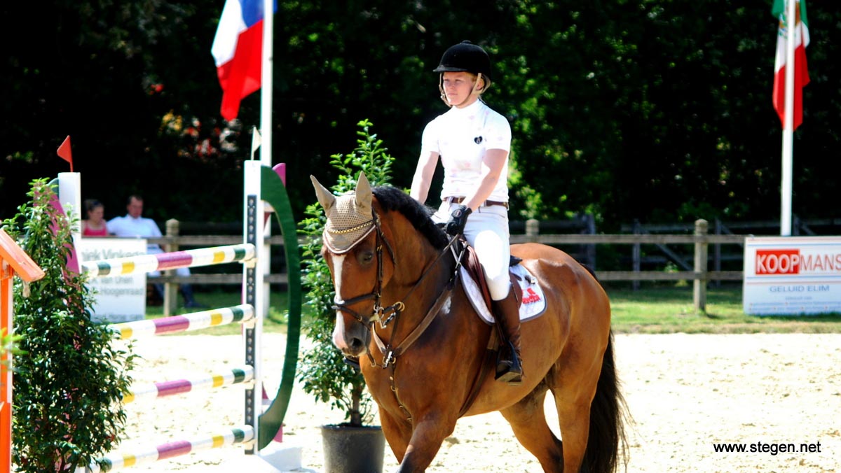 Marianne Boerema won met Divoza Horseworld Nizarmo de finale van de Dalerveense Ruiterdagen.