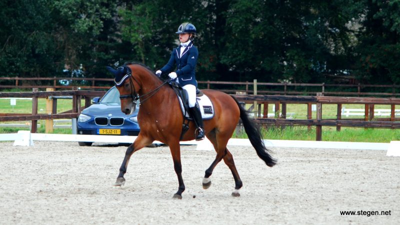 Marissa Spoor rijdt Brinkhof's Empire naar de Drentse titel in de Z2. foto: Steven Stegen