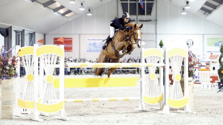 Jumping Lichtenvoorde. Marleen Bruggink met Shannon.