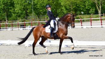 Marlies van Baalen won met Ben Johnson de Grand Prix tijdens Dutch Topsport Dressage Exloo.