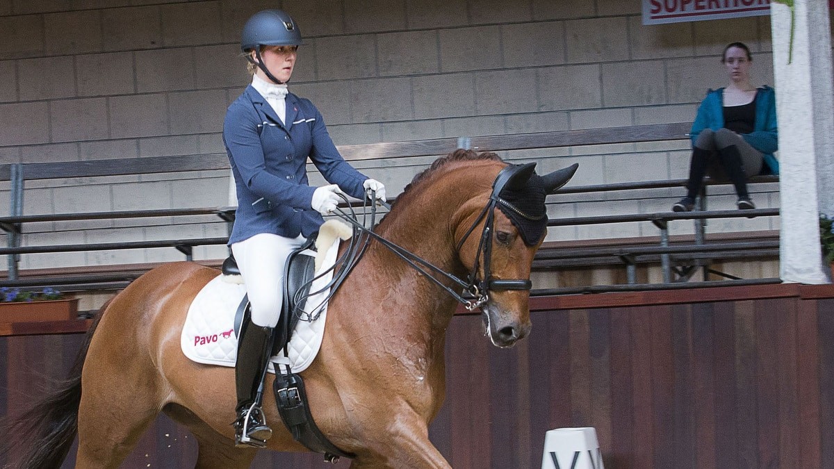 Marloes Oosterhof won met Emmerson de kür klasse Z2 bij Indoor Tolbert.