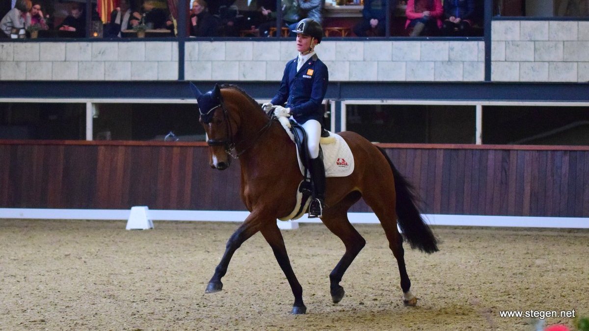 Marten Luiten met Fynona op weg naar de Groninger titel in de Z2-dressuur.