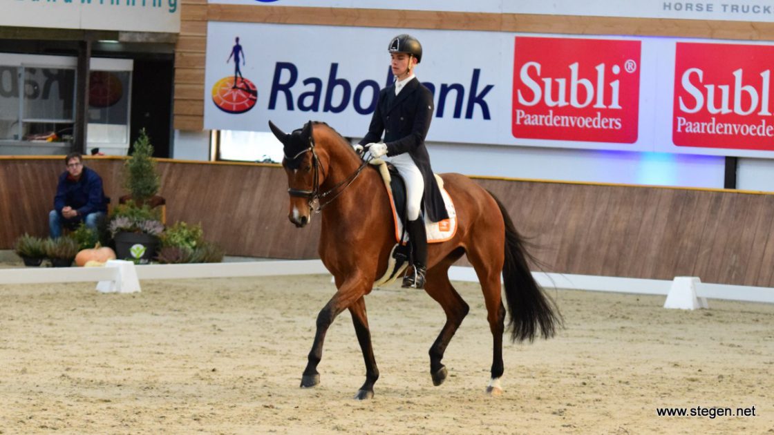 CDI Exloo. Marten Luiten en Fynona tijdens hun winnende kür in Exloo.