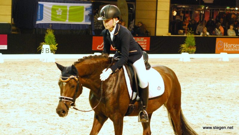 Marten Luiten gaat met Goldwin's Hoeve's Movie Star naar zijn eerste EK.