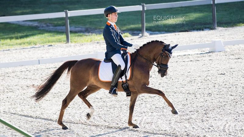 Marten Luiten en Movie Star tijdens de kür op muziek bij het EK-dressuur pony's.