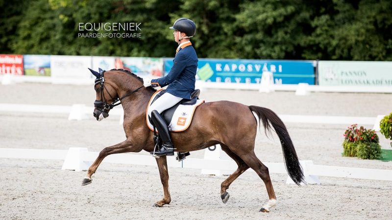 Marten Luiten met Movie Star tijdens het EK-dressuur. foto: Equigeniek | Dominique van Dreumel
