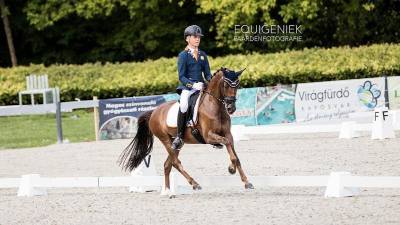 Marten Luiten met Movie Star tijdens het EK is Kaposvár. foto: Equigeniek