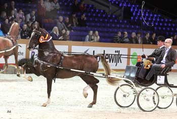 Derk Jan Mekkes in actie met Bentley.